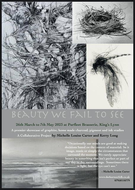 'Beauty We Fail To See'  poster