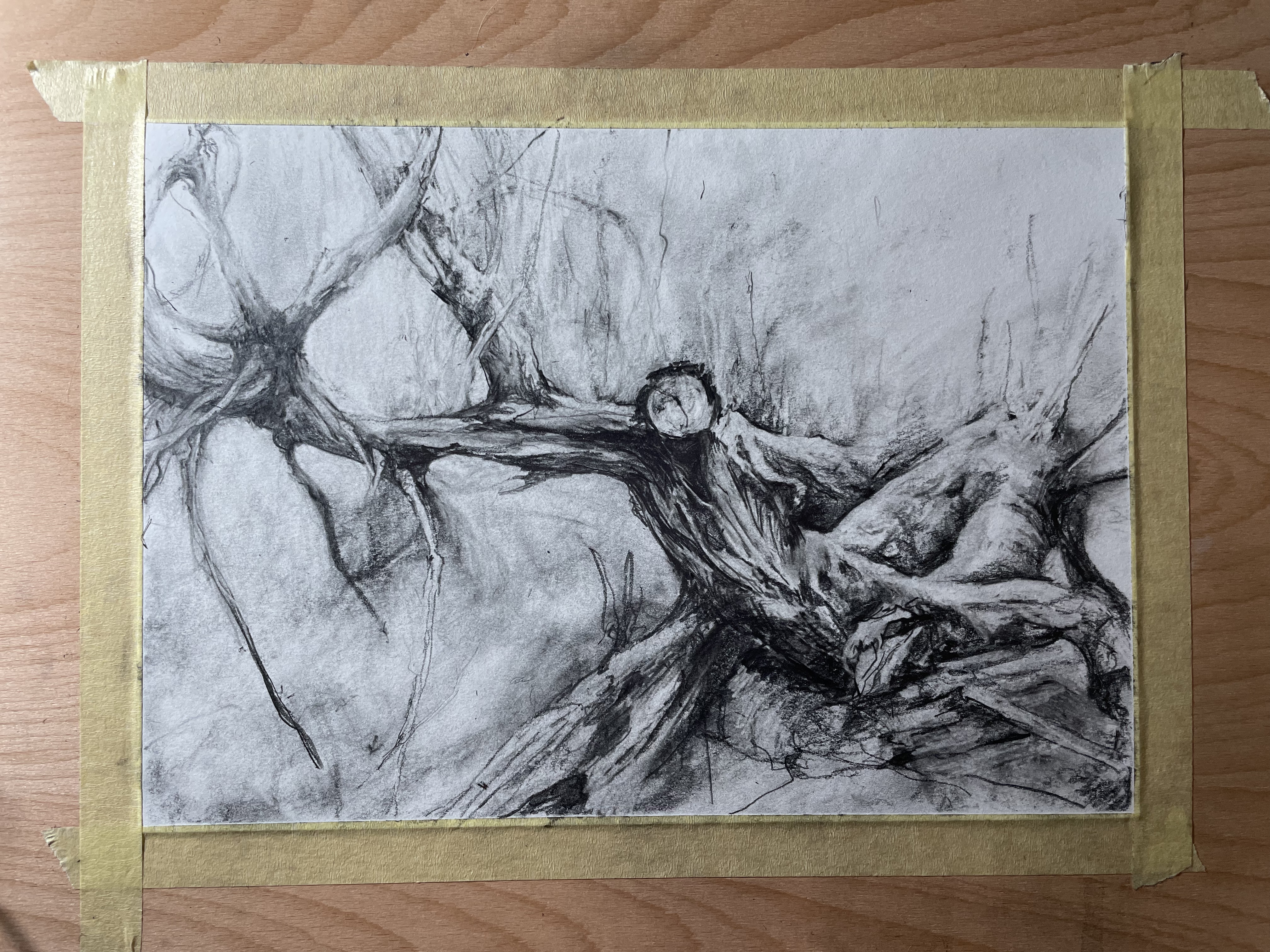 Broken Tree, Sandringham Royal Park