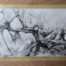 Broken Tree, Sandringham Royal Park