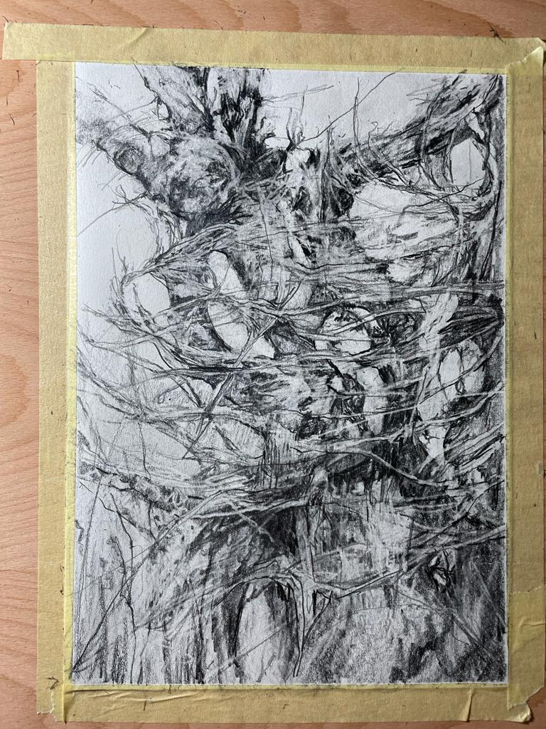 Lightning Struck Tree Stump Study