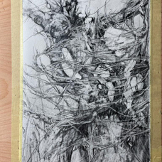 Lightning Struck Tree Stump Study