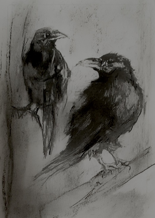 Ravens