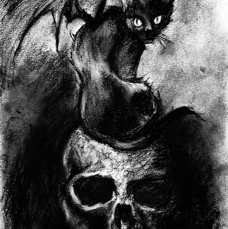 Gothic Cat on Skull Study