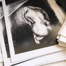Savaged (Charcoal) - Postcard Print